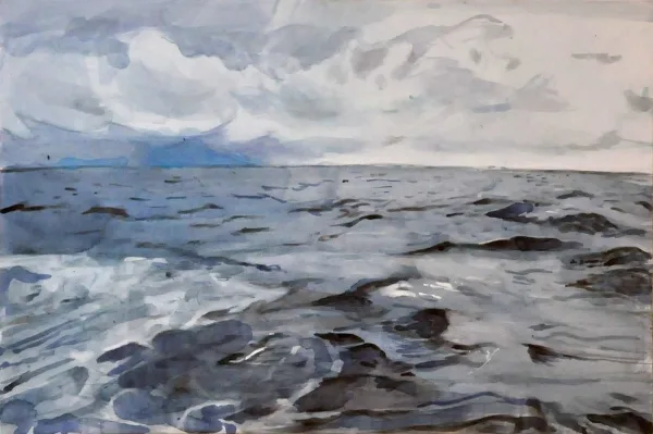 Malba, 2016