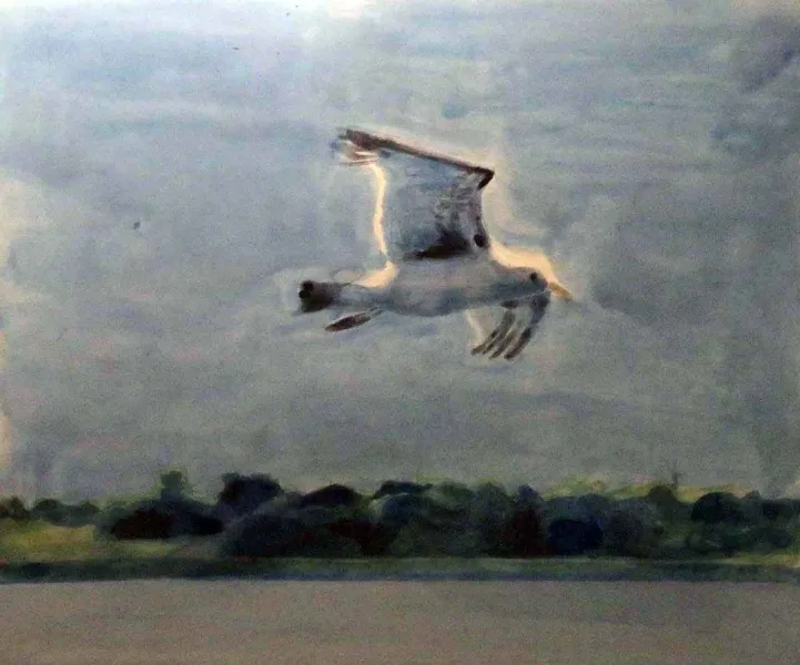 Malba, 2014